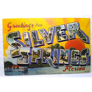 Greetings From Silver Springs Florida Large Letter Linen Postcard Curt Teich '49